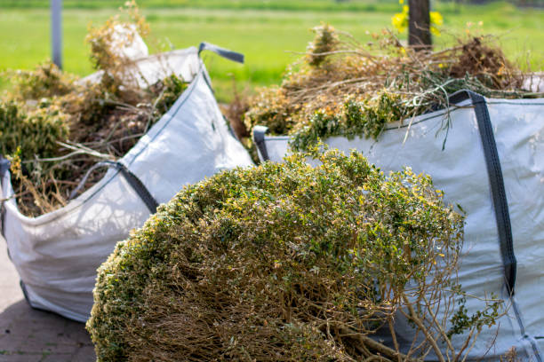 Best Junk Removal Near Me  in Valley Forge, TN